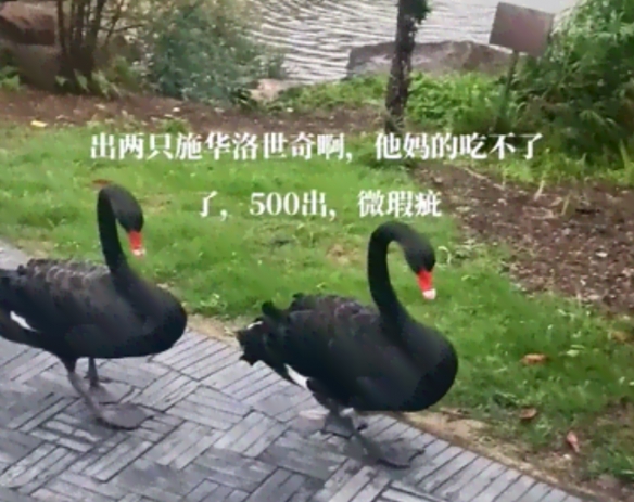游俠網(wǎng)2