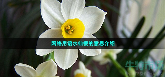 網(wǎng)絡(luò)用語水仙梗的意思介紹