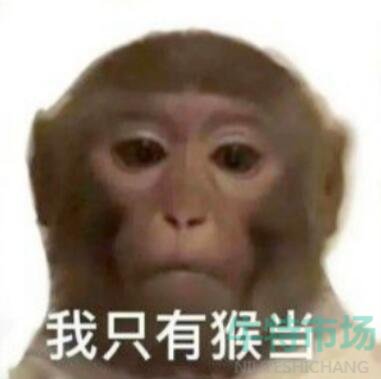 網(wǎng)絡(luò)用語(yǔ)我只有猴當(dāng)梗的意思介紹