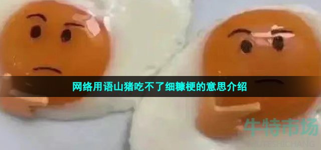 網(wǎng)絡(luò)用語山豬吃不了細(xì)糠梗的意思介紹