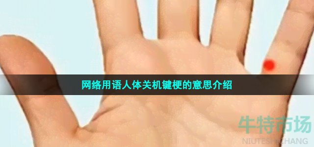 網(wǎng)絡(luò)用語(yǔ)人體關(guān)機(jī)鍵梗的意思介紹