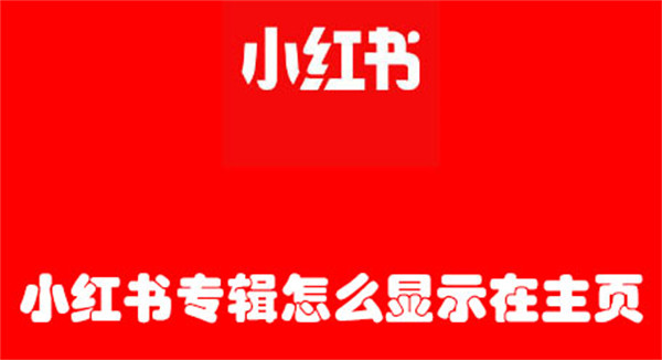 小紅書專輯怎么顯示在主頁(yè)