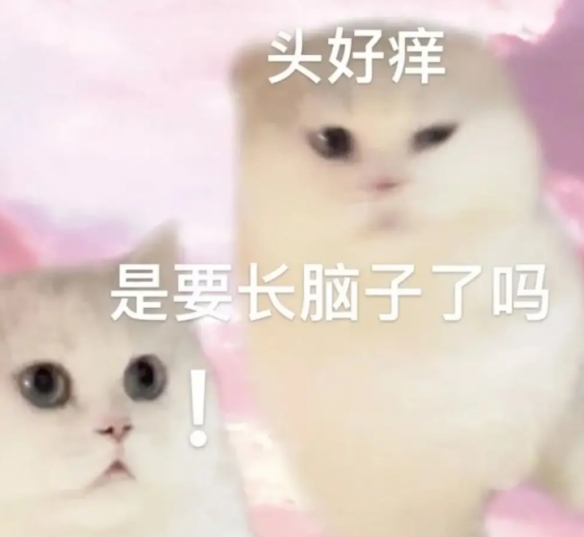 游俠網(wǎng)2