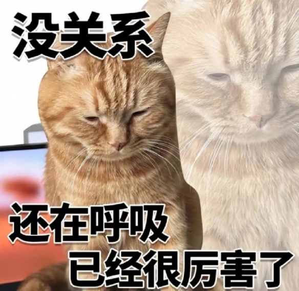 游俠網(wǎng)2