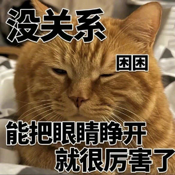 游俠網(wǎng)4