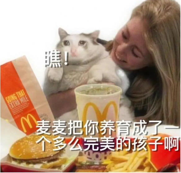 游俠網(wǎng)7