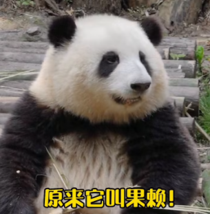 1678066716989203.png