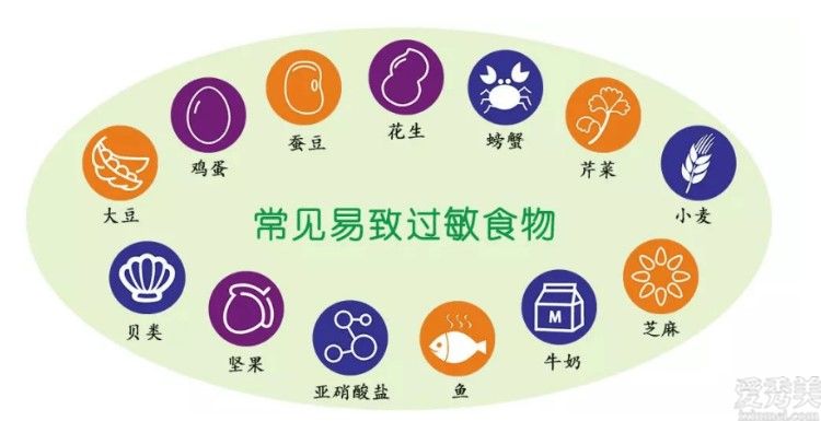 寶寶添加輔食后為什么會(huì)過敏??如何有效防止。