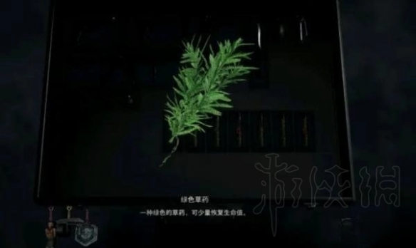 游俠網(wǎng)2