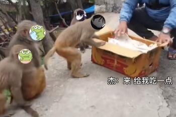 故氏點(diǎn)外賣梗意思介紹 故氏點(diǎn)外賣梗意思介紹