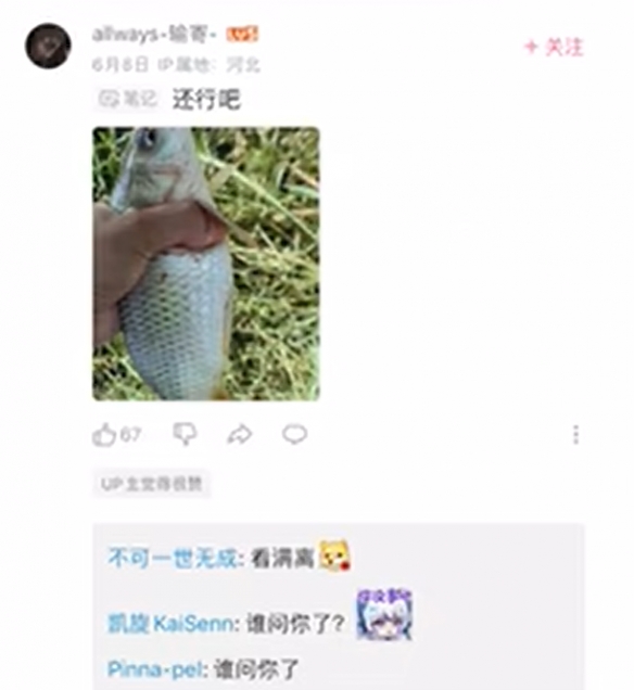 游俠網(wǎng)4