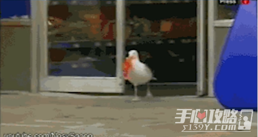去碼頭整點(diǎn)薯?xiàng)l梗的意思介紹