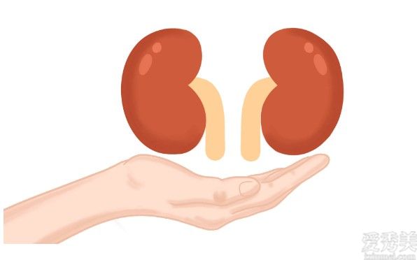 人若是腎臟受損了,手腳會(huì)有4個(gè)“提示”,平常多留意