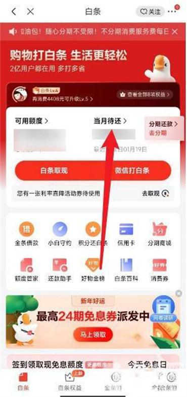 京東白條還款怎么一次還清