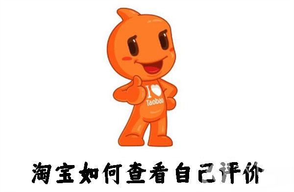 淘寶如何查看自己評價