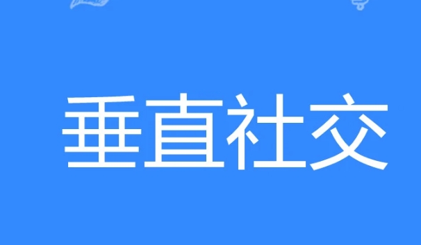 網(wǎng)絡(luò)用語(yǔ)垂直社交是什么梗