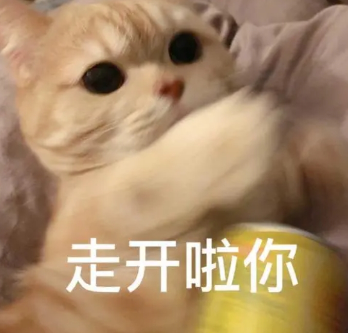 網(wǎng)絡(luò)用語無所謂我看過流星墜落地面是什么梗