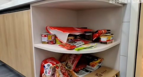 網(wǎng)絡用語這里是我吃的一些醬料是什么梗