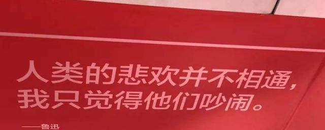 網(wǎng)絡(luò)用語(yǔ)人類的悲歡并不相通是什么梗