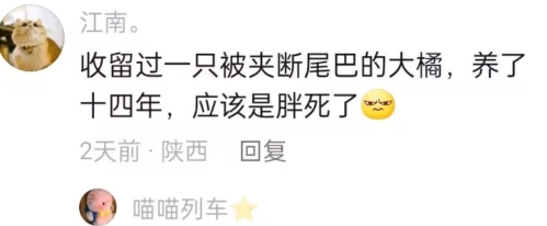 《抖音》建廟是什么梗