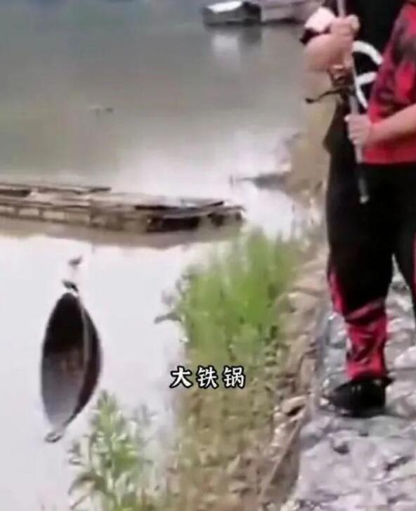 網(wǎng)絡(luò)用語(yǔ)釣魚(yú)佬永不空軍是什么梗