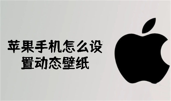 蘋果手機(jī)怎么設(shè)置動態(tài)壁紙