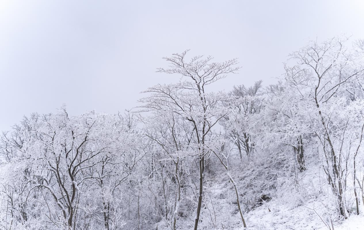開(kāi)板!又到一年冰雪季,元旦小長(zhǎng)假去綿陽(yáng)九皇山感受冰雪魅力