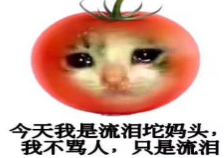 網(wǎng)絡(luò)用語坨媽頭是什么梗