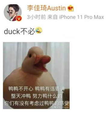 duck不必是什么意思 duck不必含義及出處