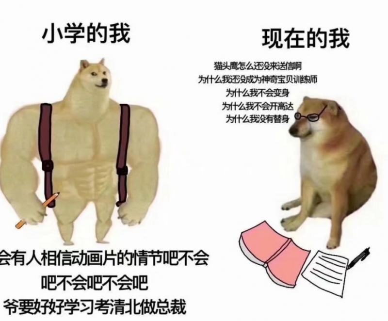 網(wǎng)絡用語內(nèi)容過于真實引起不適是什么梗