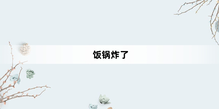 網(wǎng)絡(luò)用語飯鍋炸了是什么梗