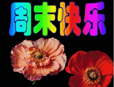 網(wǎng)絡(luò)用語(yǔ)豬肉沫一塊是什么梗