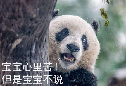 網(wǎng)絡(luò)用語寶寶心里苦但寶寶不說是什么梗