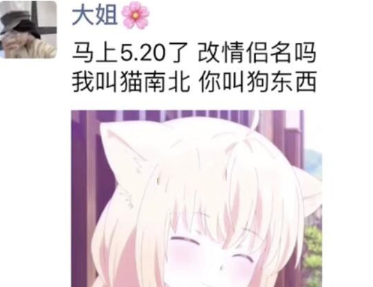 網(wǎng)絡(luò)用語(yǔ)貓南北狗東西是什么梗