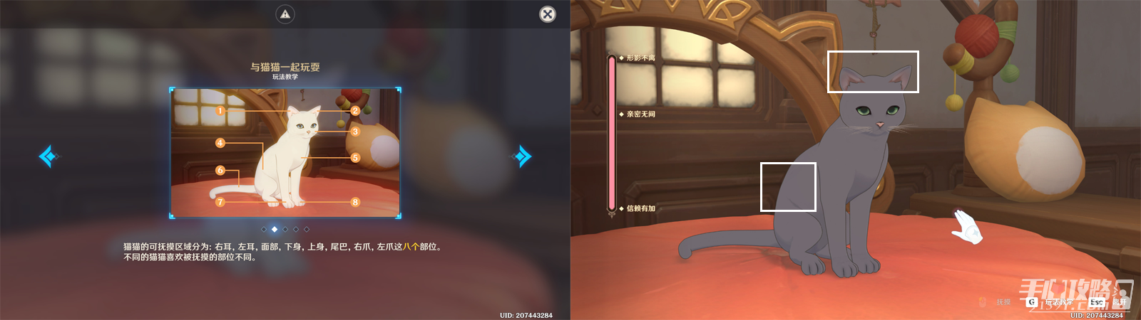 《原神》茸茸城堡大喵險第三天通關(guān)攻略 《原神》茸茸城堡大喵險第三天通關(guān)攻略