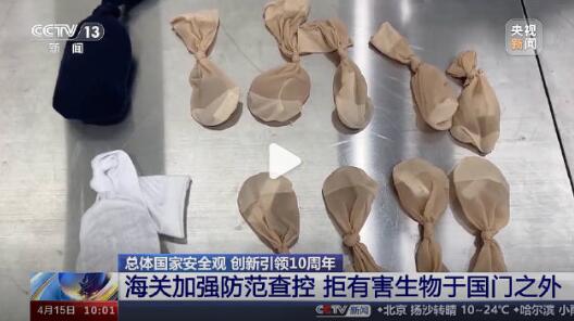 QQ截圖20240417144549