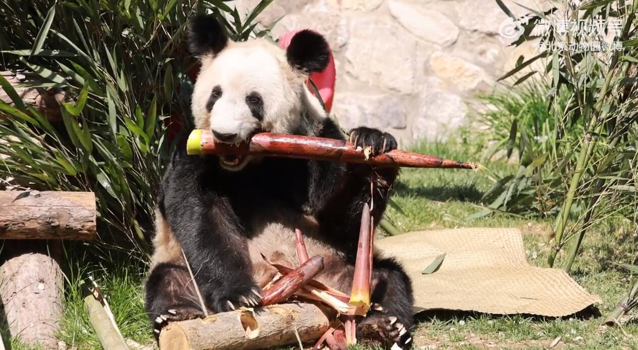 QQ截圖20240426143940