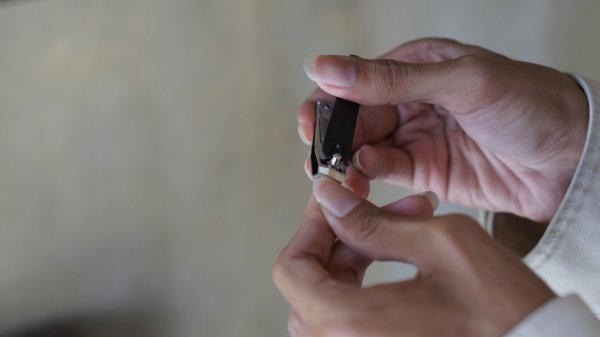 萬年青的養(yǎng)殖方法和注意事項是什么?