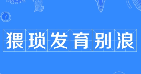猥瑣發(fā)育別浪是什么梗網(wǎng)絡(luò)用語