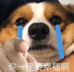 網(wǎng)絡用語又幸福了是什么梗