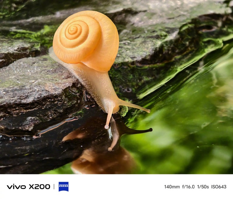Ӱϵy(tng)vivo X200ȫθwճĔz