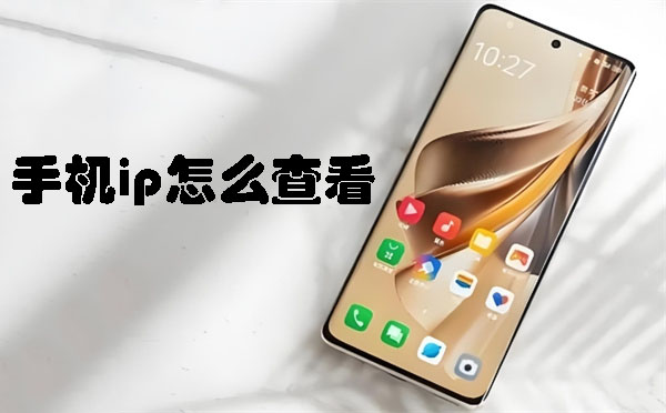 手機(jī)ip怎么查看