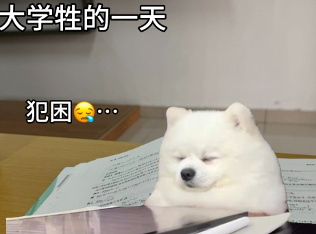 W(wng)j(lu)Z(y)W(xu)ʲô