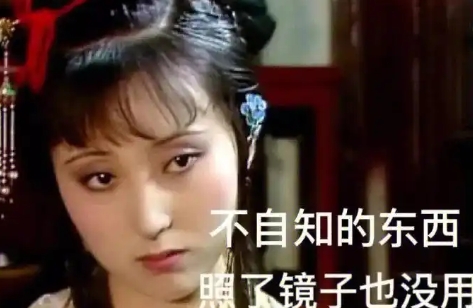 網(wǎng)絡用語黛玉文學是什么梗