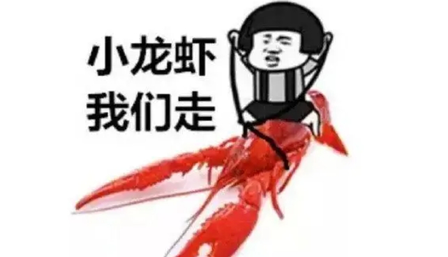 W(wng)j(lu)ZСr҂ʲô