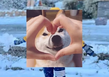 W(wng)jZϷɳǽʲô