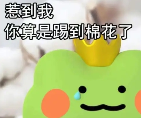 網(wǎng)絡(luò)用語(yǔ)惹到我你算是踢到棉花啦是什么梗