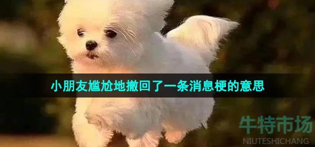 《抖音》小朋友尷尬地撤回了一條消息梗的意思介紹