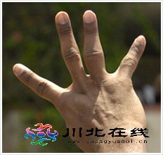 ƱЇУָ(yn)׃o형