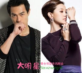 楊佑寧郭采潔